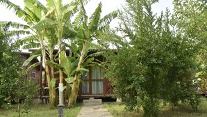 A stone pathway leading to a wooden building with a covered porch, surrounded by banana trees and other greenery. - Serenity Bungalows (Kemer)
