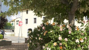 En bygning med et stopskilt, et træ og en blomsterbusk.