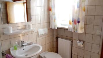 A bathroom with a sink, toilet, and a mirror.