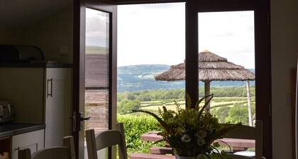 Rhiwddu Barns - Brecon Beacons National Park