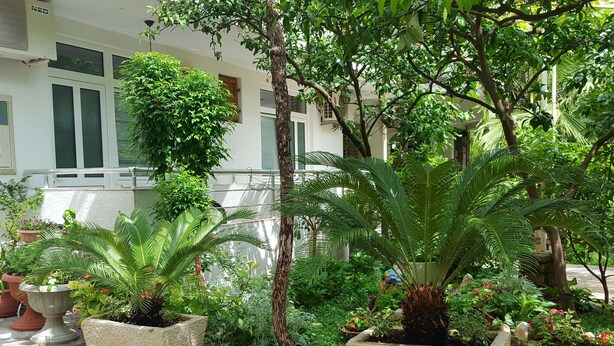 Courtyard - Bonik Apartments (Budva)