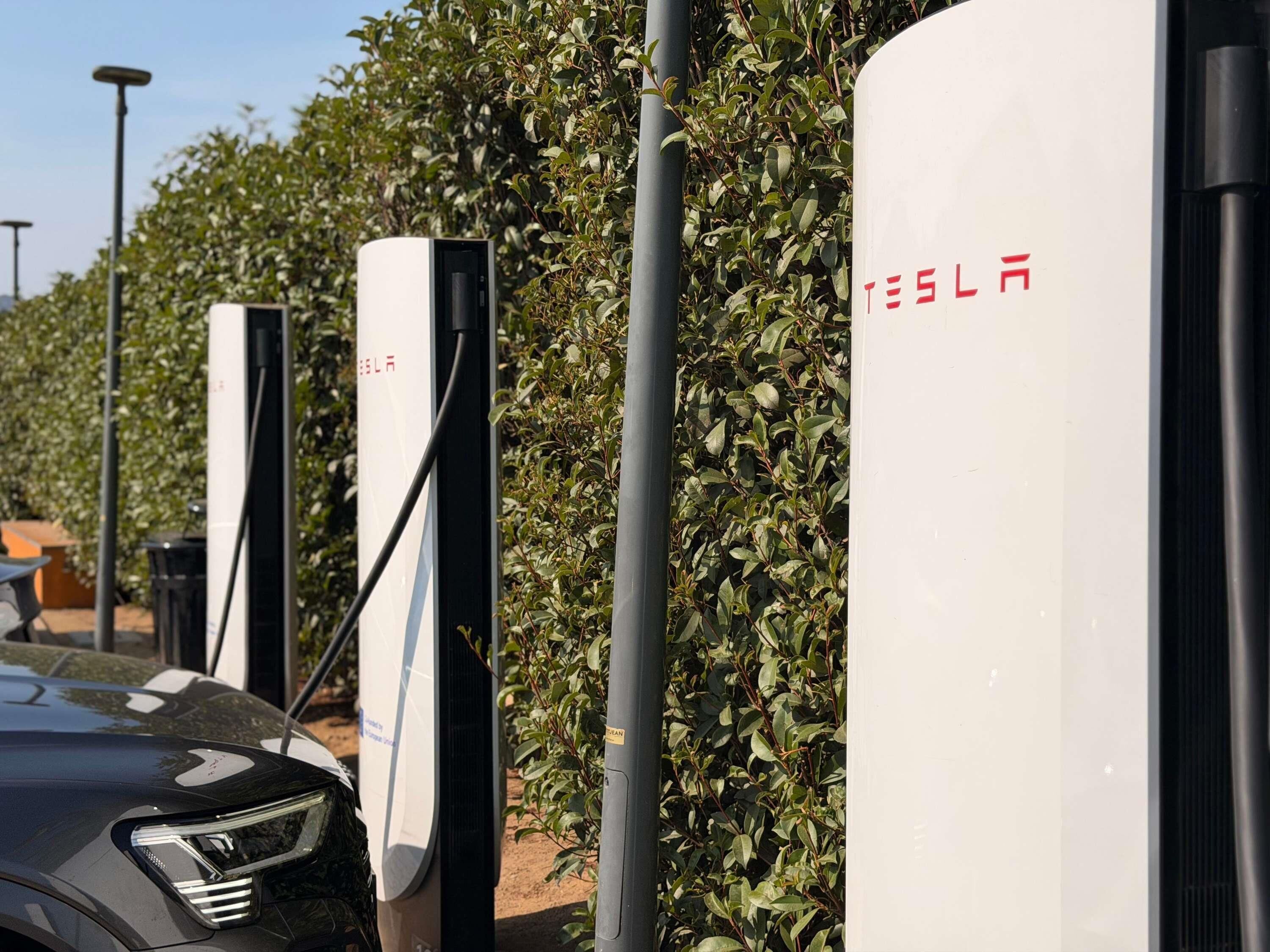 Bornes de recharge pour véhicules électriques arborant le logo Tesla, une voiture garée à proximité et un arbuste en arrière-plan.