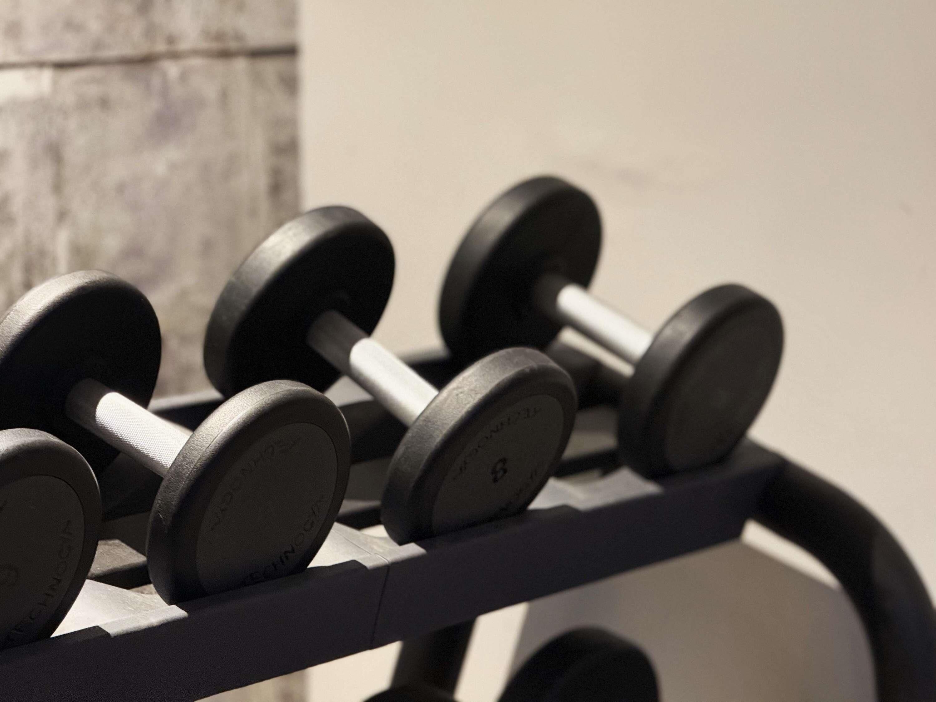 A set of black dumbbells on a rack.