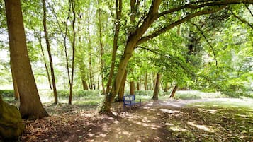A forested area with a bench and a sign, surrounded by trees and a dirt path.