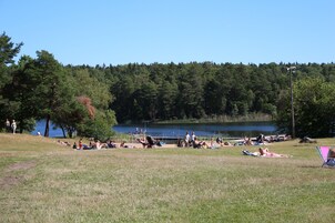 Un parque junto al lago, con gente descansando sobre el césped y a la orilla del agua.