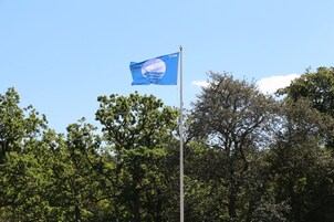 Un asta de banderas con un banderín azul que presenta un emblema blanco, frente a un fondo de árboles verdes frondosos y cielo despejado.