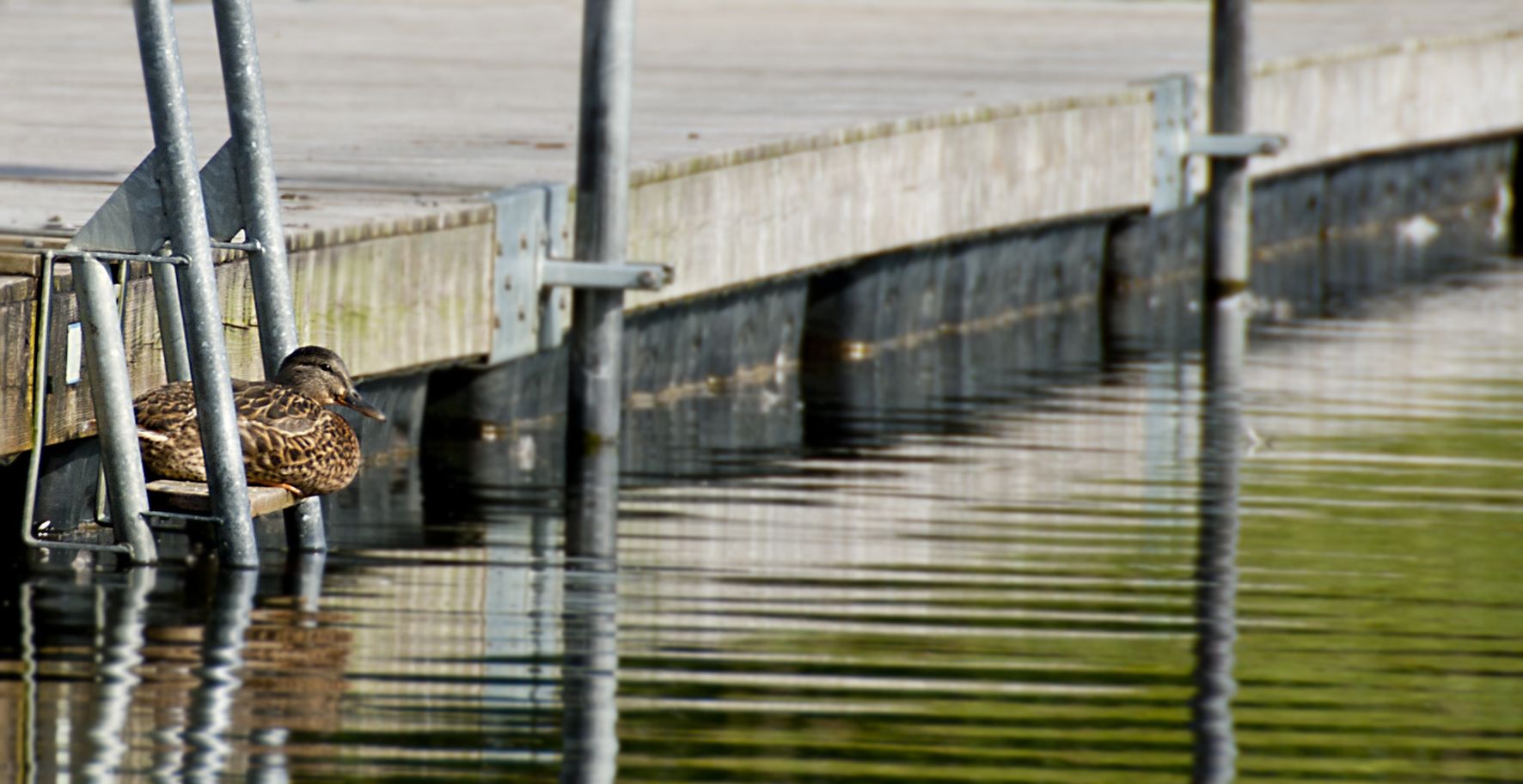 Foto - Rösjöbaden Camping & Stugby