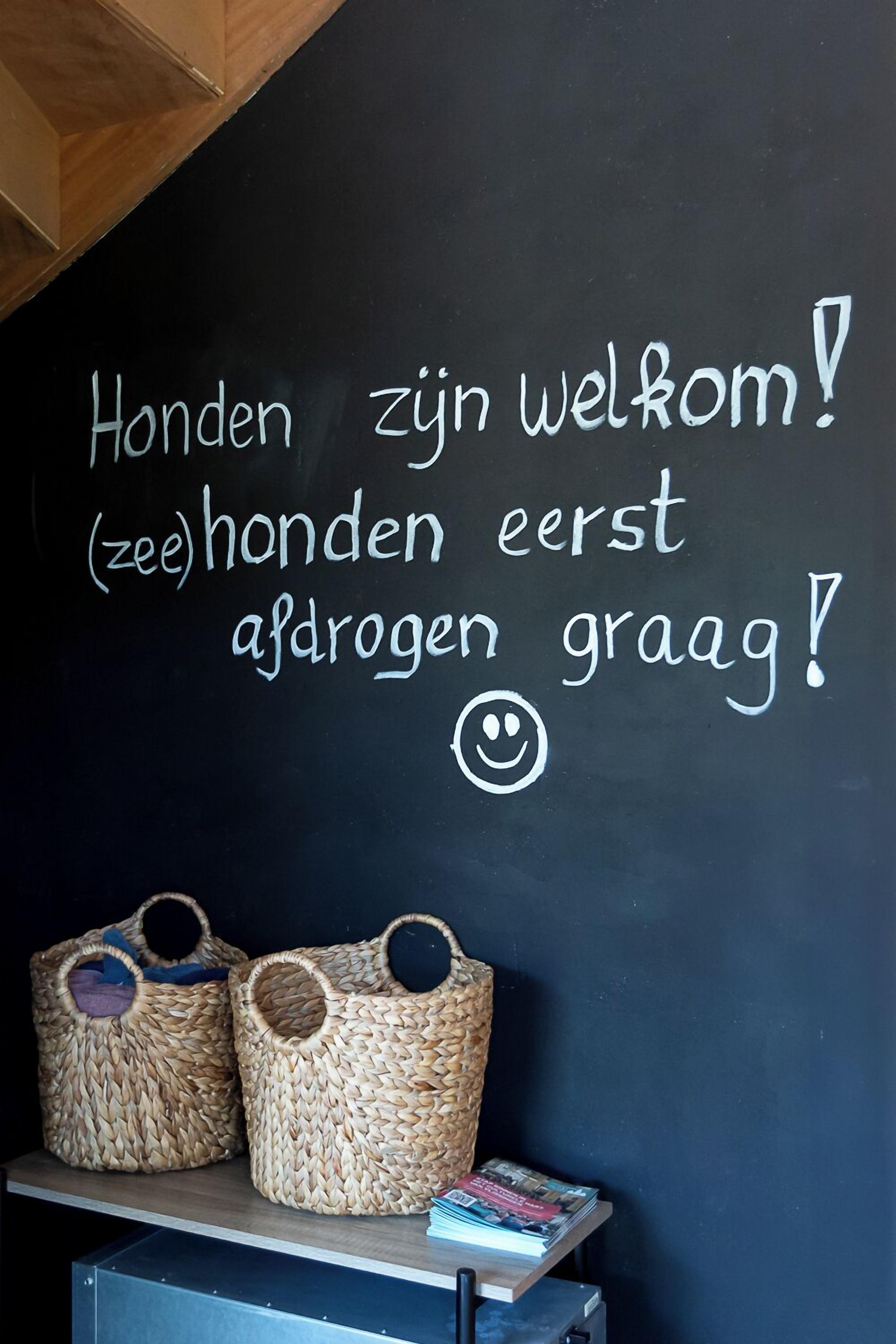 pet-friendly amenities