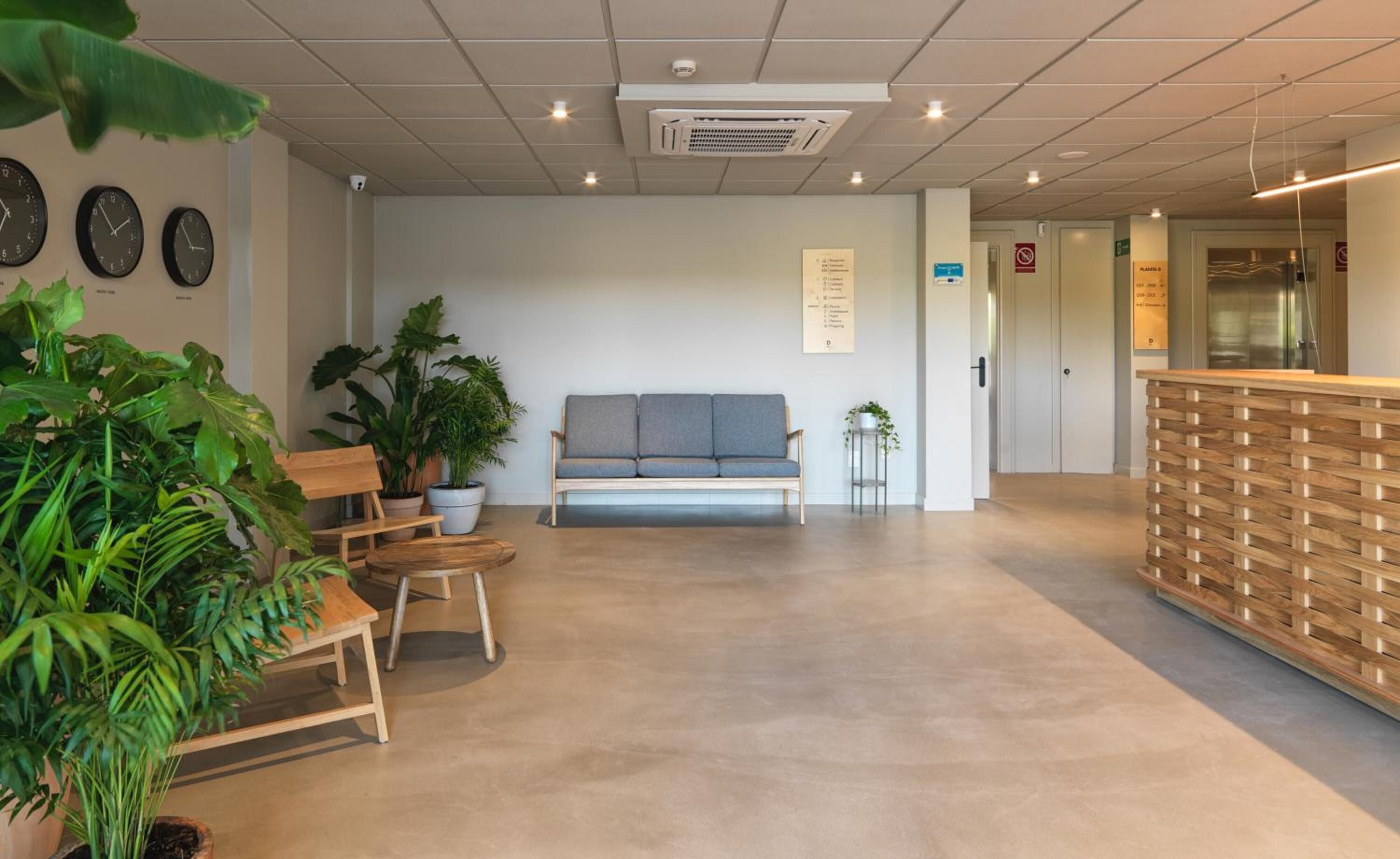 Un espace d’accueil avec un canapé, des fauteuils et des plantes en pot.