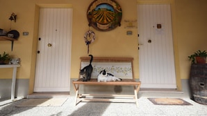 Un banc avec deux chats, une enseigne fixée au mur et deux portes.