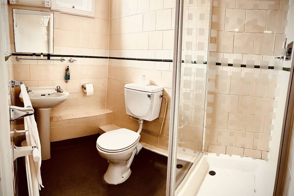 shower, free toiletries, hair dryer, towels