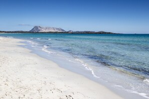 ใกล้ชายหาด