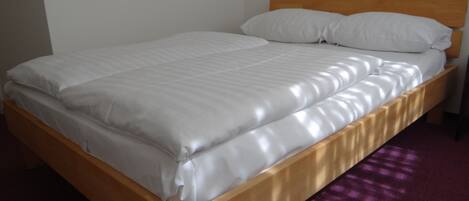 Double Room, 1 Queen Bed