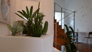 A white planter with various cacti and succulents on a white pedestal in a modern interior space. - White (Porto Cesareo)