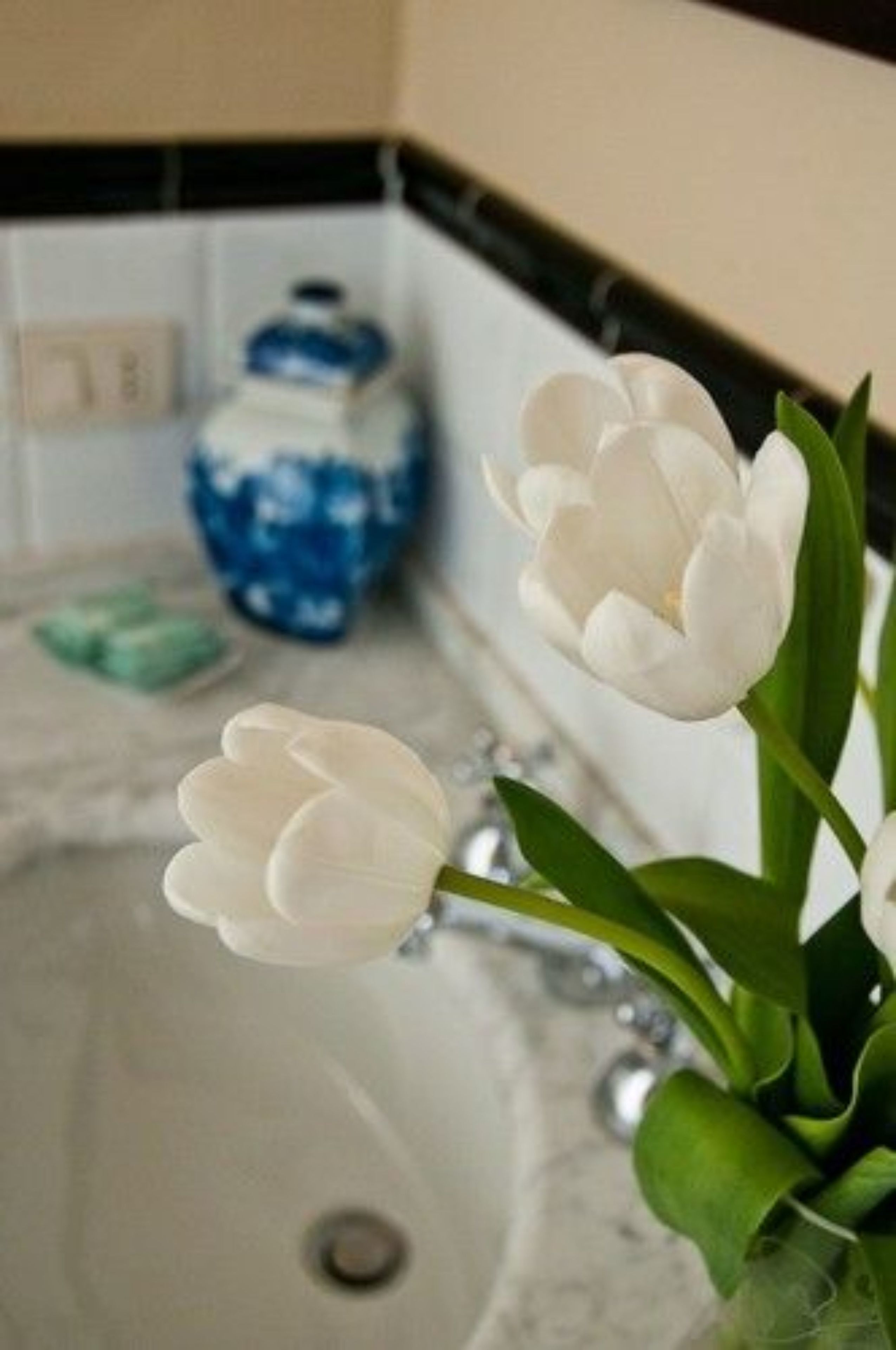 Foto - Residenza dei Pucci