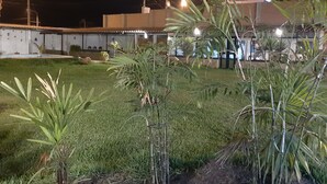 Een nachtzicht van een gebouw met een plat dak, omringd door een verzorgd gazon en diverse planten.