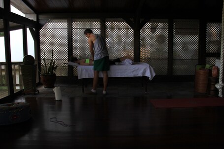 Rainforest Inn - Image 37