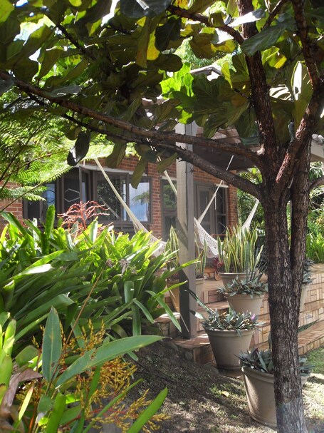 Rainforest Inn - Image 40