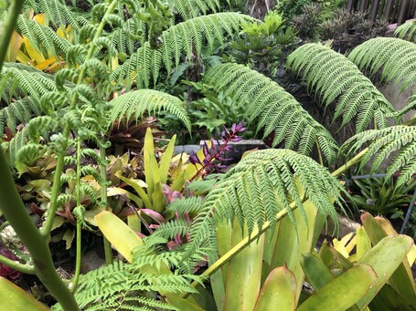 Rainforest Inn - Image 29