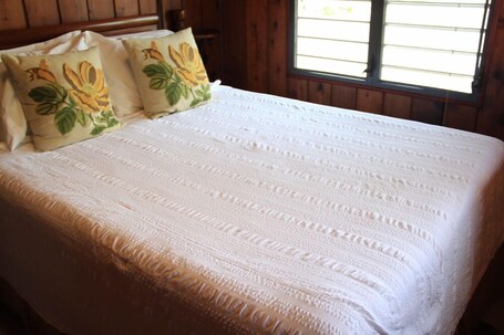 Rainforest Inn - Image 43