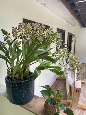 IPod dock