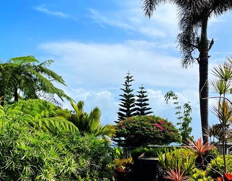 Rainforest Inn - Image 30