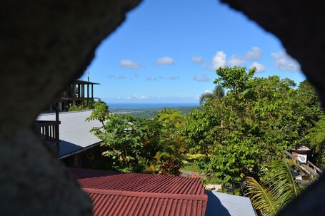 Rainforest Inn - Image 7