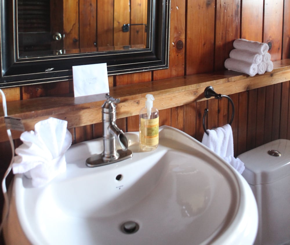 Rainforest Inn by null