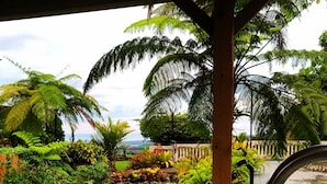 An infinity pool with a clear view of lush greenery and a distant landscape.