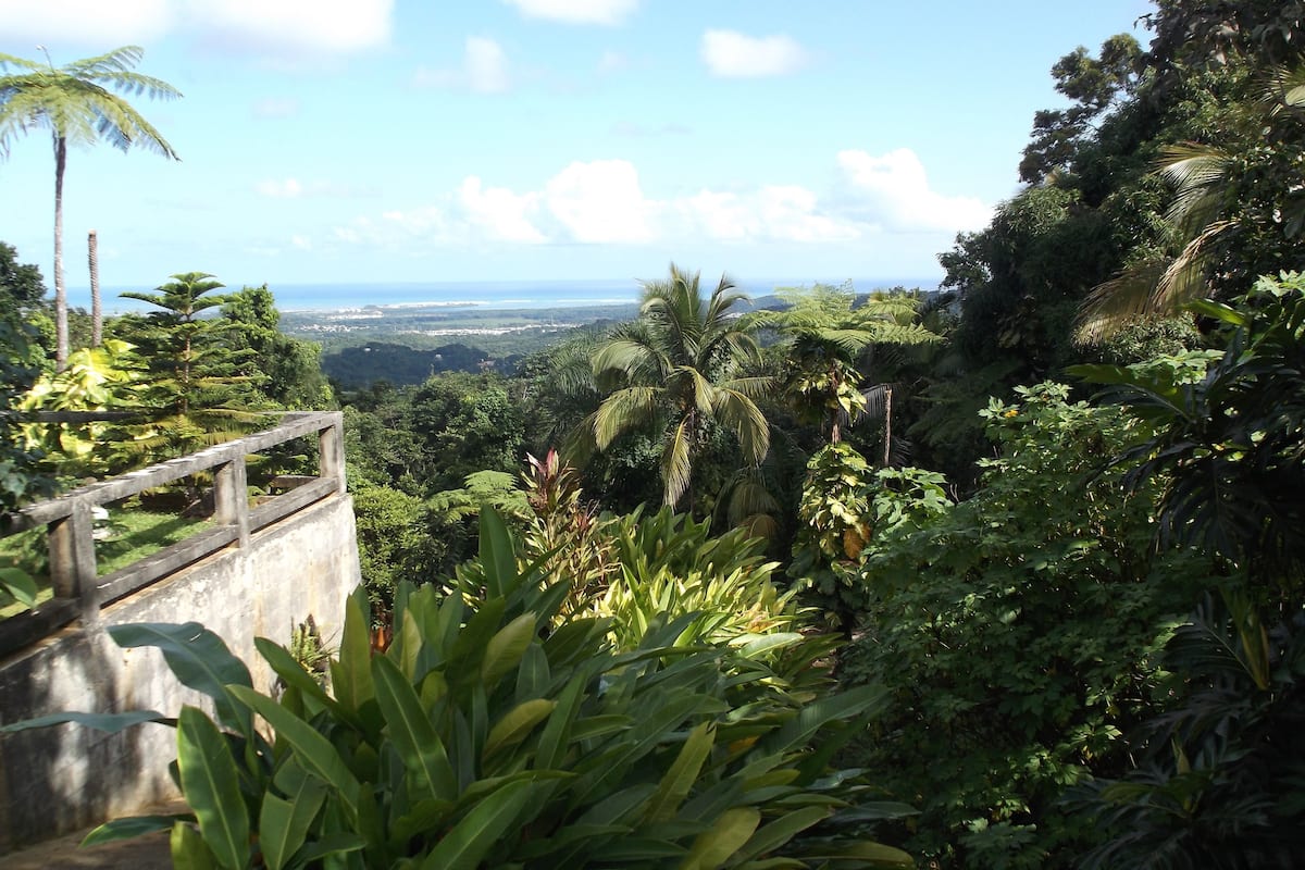 Appartement, 2 chambres, vue montagne | Vue depuis l’hébergement