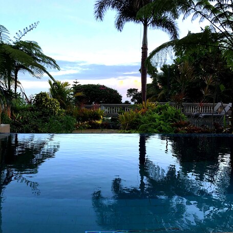 Rainforest Inn - Image 1