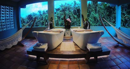 Rainforest Inn