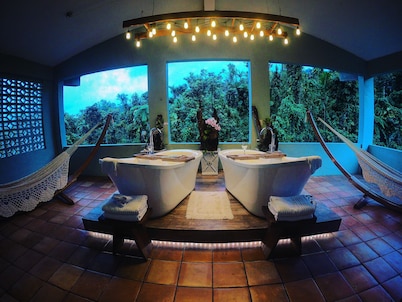 Rainforest Inn