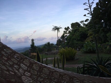 Rainforest Inn - Image 27