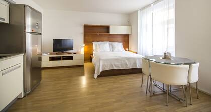 Luxurious Apartment near Prague Castle