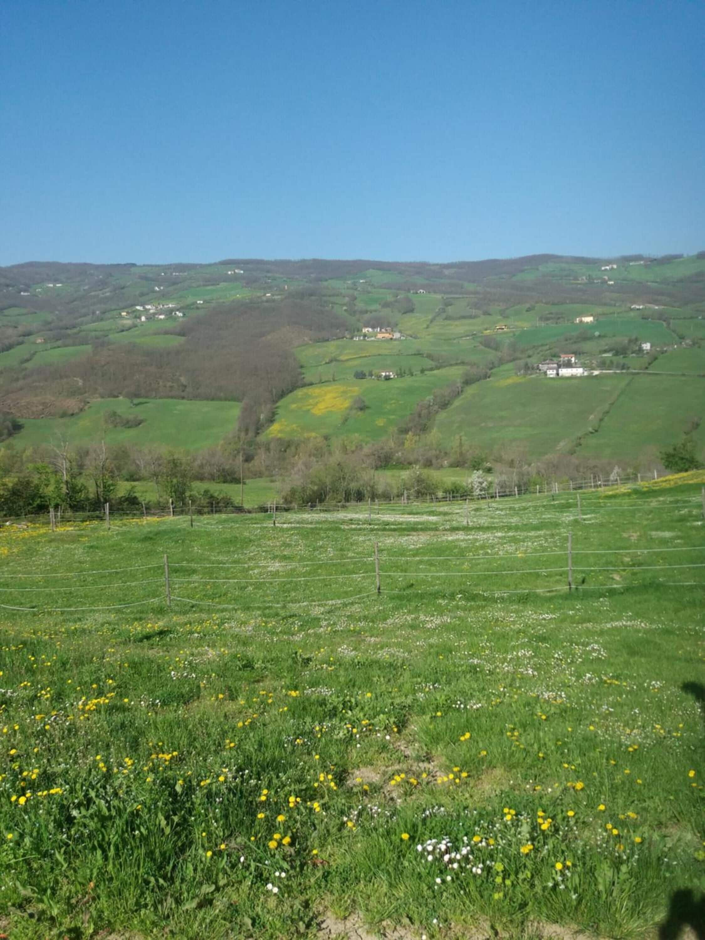 Paisaje rural con colinas onduladas, un campo cercado de flores amarillas y edificios dispersos en la distancia.