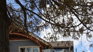 Exterior - Lakefront Cottage with Stunning Lakeview (Muskoka Lakes)