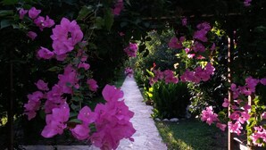 A garden pathway surrounded by lush greenery and vibrant pink flowers. - Hotel Yavuz Bungalow (Kemer)