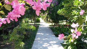 Property grounds - Hotel Yavuz Bungalow (Kemer)