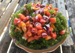 Restaurant - RMTM's Beachfront Accommodation (Caramoan)