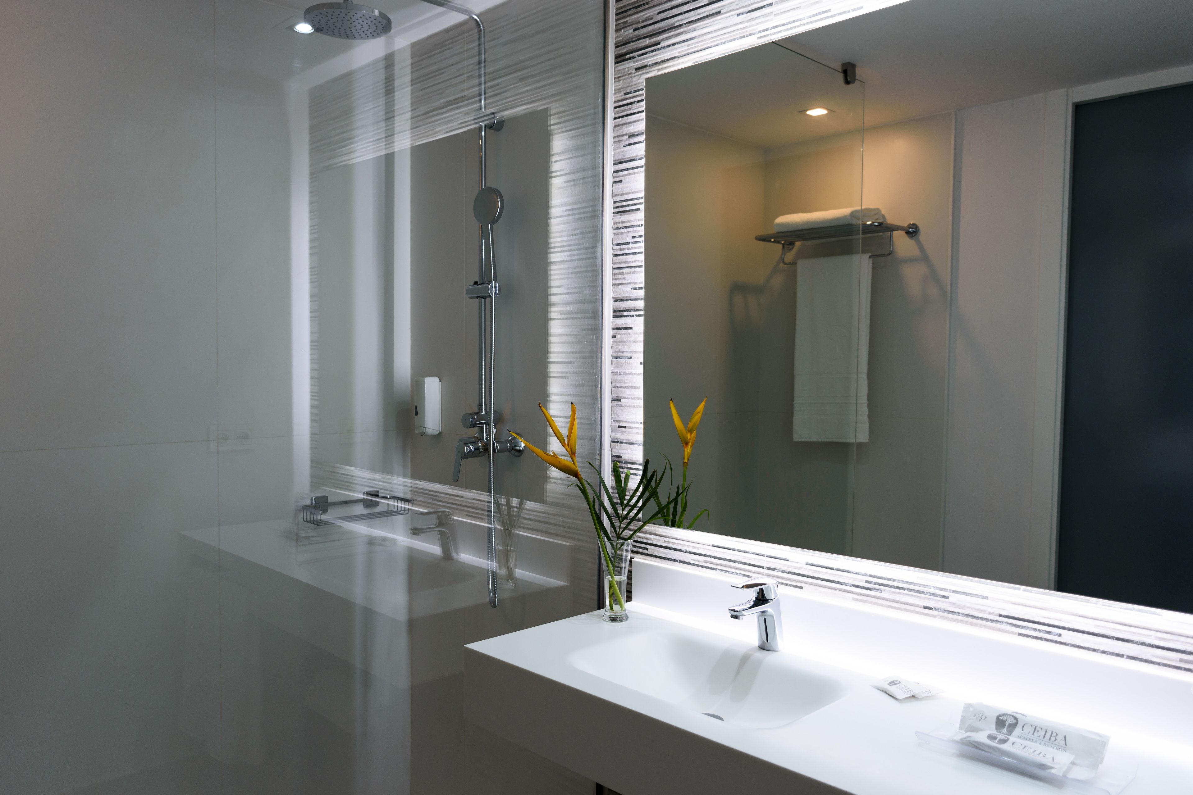 shower, rainfall showerhead, free toiletries, hair dryer