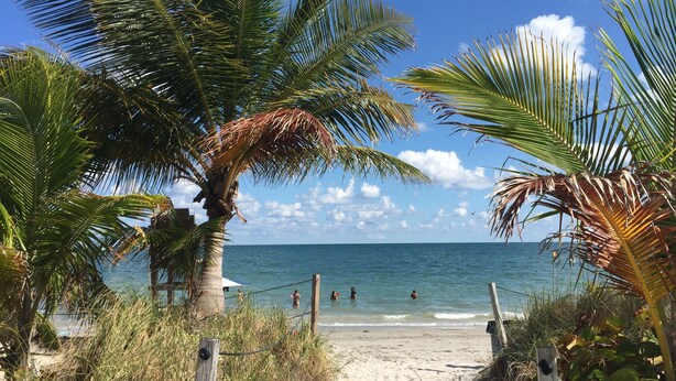 A beach path leading to the ocean with palm trees and a wooden fence. - Beach Haus Key Biscayne (Key Biscayne)