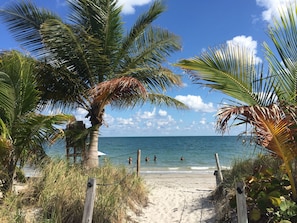 A beach path leading to the ocean with palm trees and a wooden fence. - Beach Haus Key Biscayne (Key Biscayne)