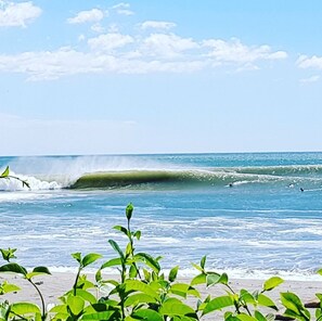 A beach with waves and surfers, and green foliage in the foreground.