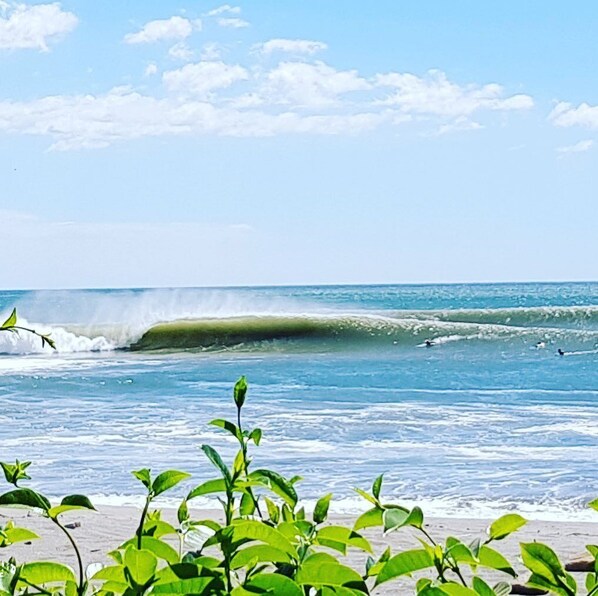 Vue sur la plage/l’océan
