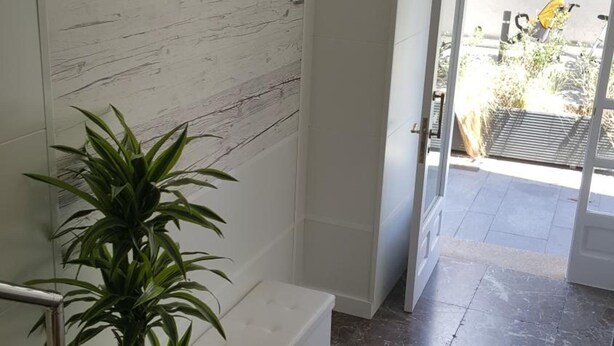 Un pasillo con pared de madera, una planta en maceta, una escalera y vistas al exterior.