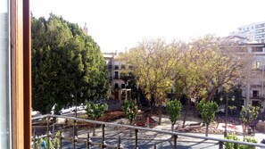 Vista des de l'allotjament