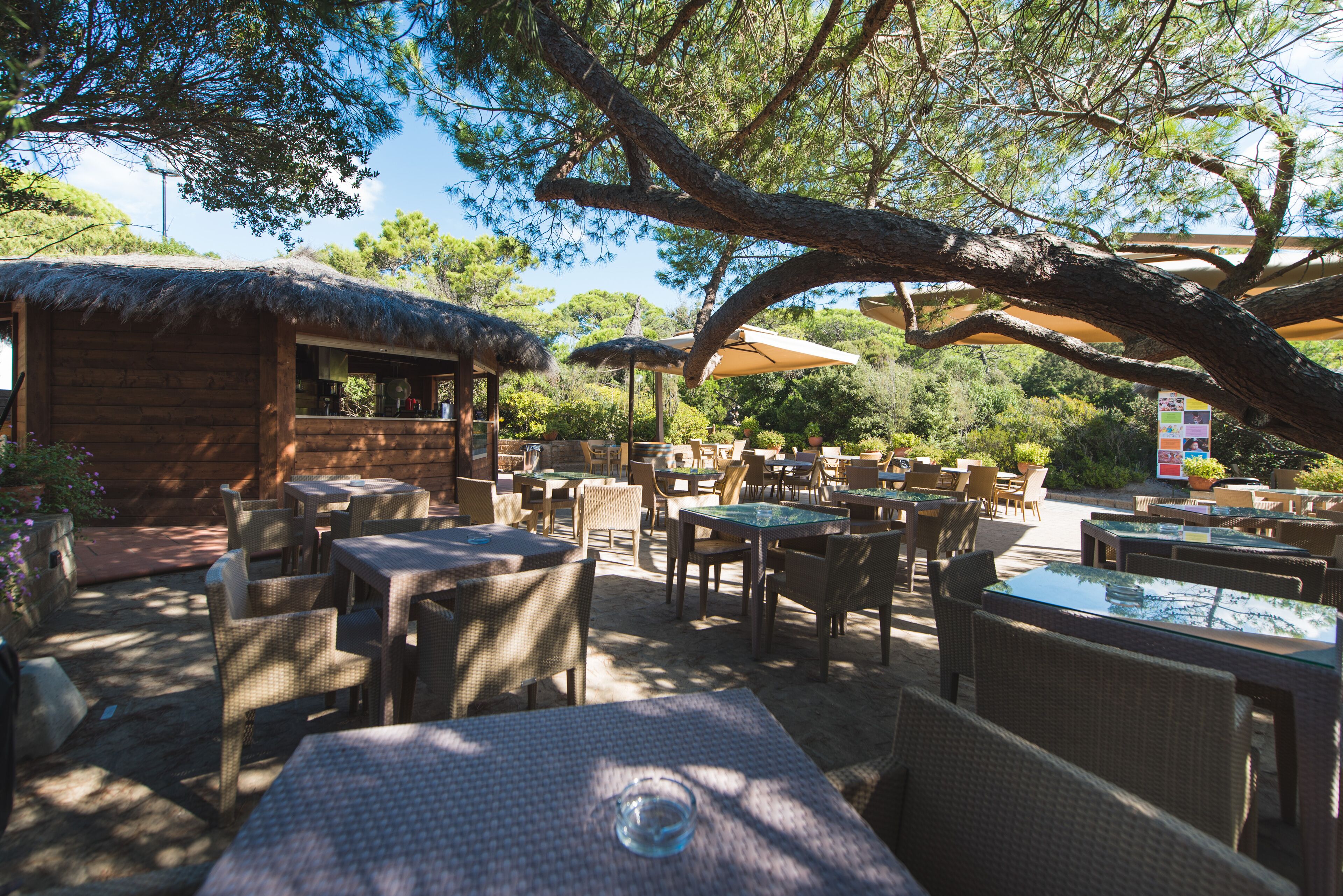 An outdoor dining area with wicker furniture and thatched-roof structures.