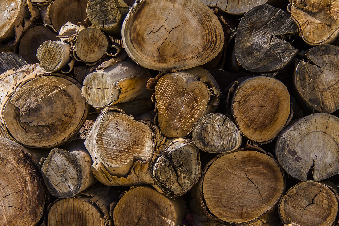 A close-up of stacked logs.