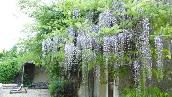 Exterior - Mas du Puits d'Amour (Orange)